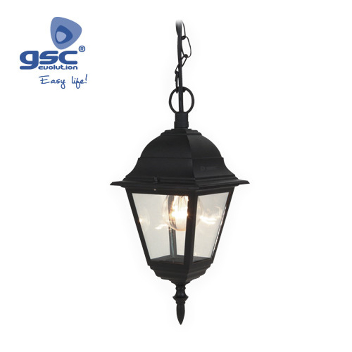 Imagen de Farol de jardín Aluminio colgante E27 60W - Negro