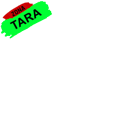 TARA