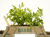 Imagen de Mini huerta modelo plegable